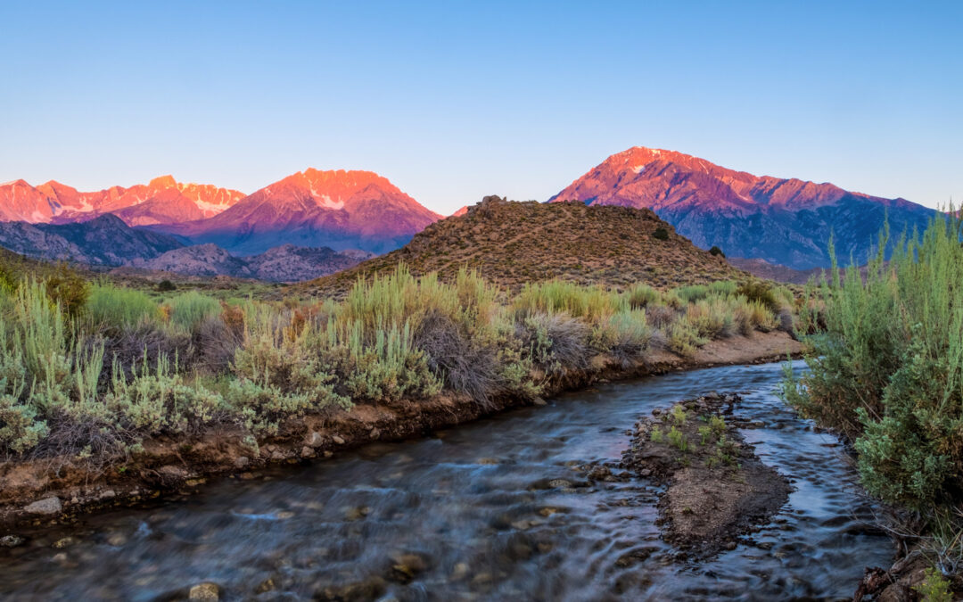 Why Home Care Matters: Bringing Comfort and Dignity to Every Day