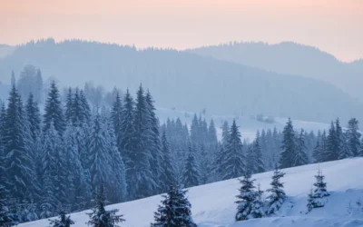 Winter Safety Tips for Seniors at Home