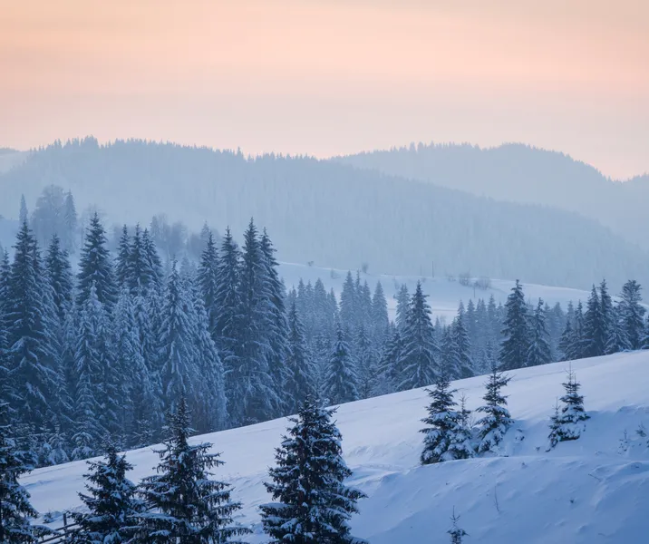 Winter Safety Tips for Seniors at Home