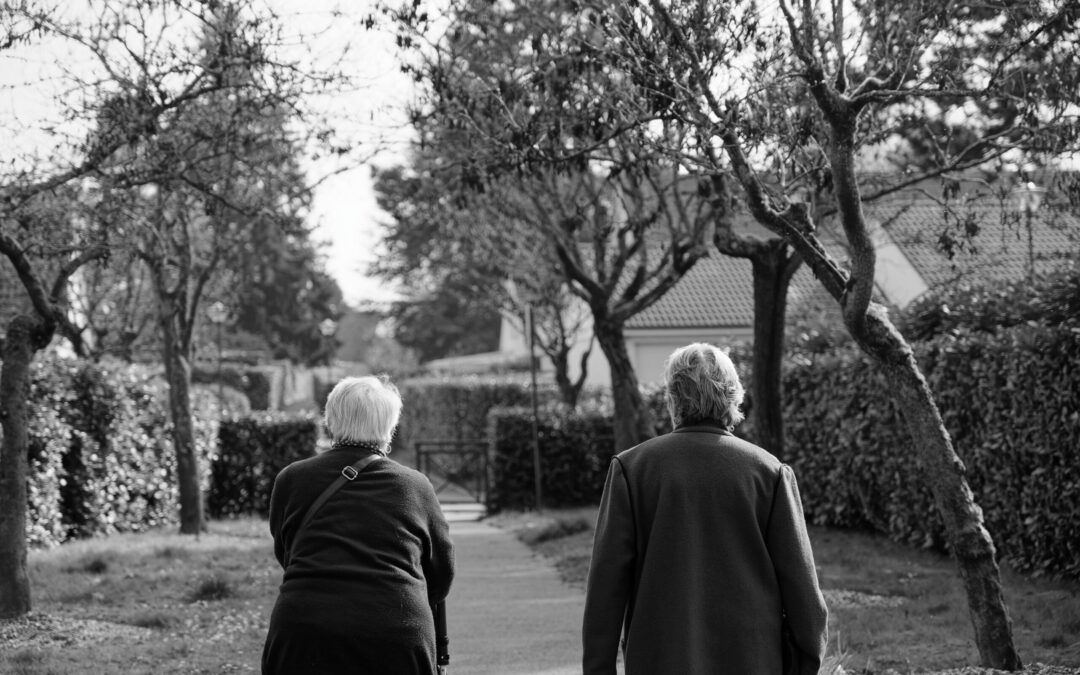The Power of Connection: Why Companionship Is Essential for Healthy Aging