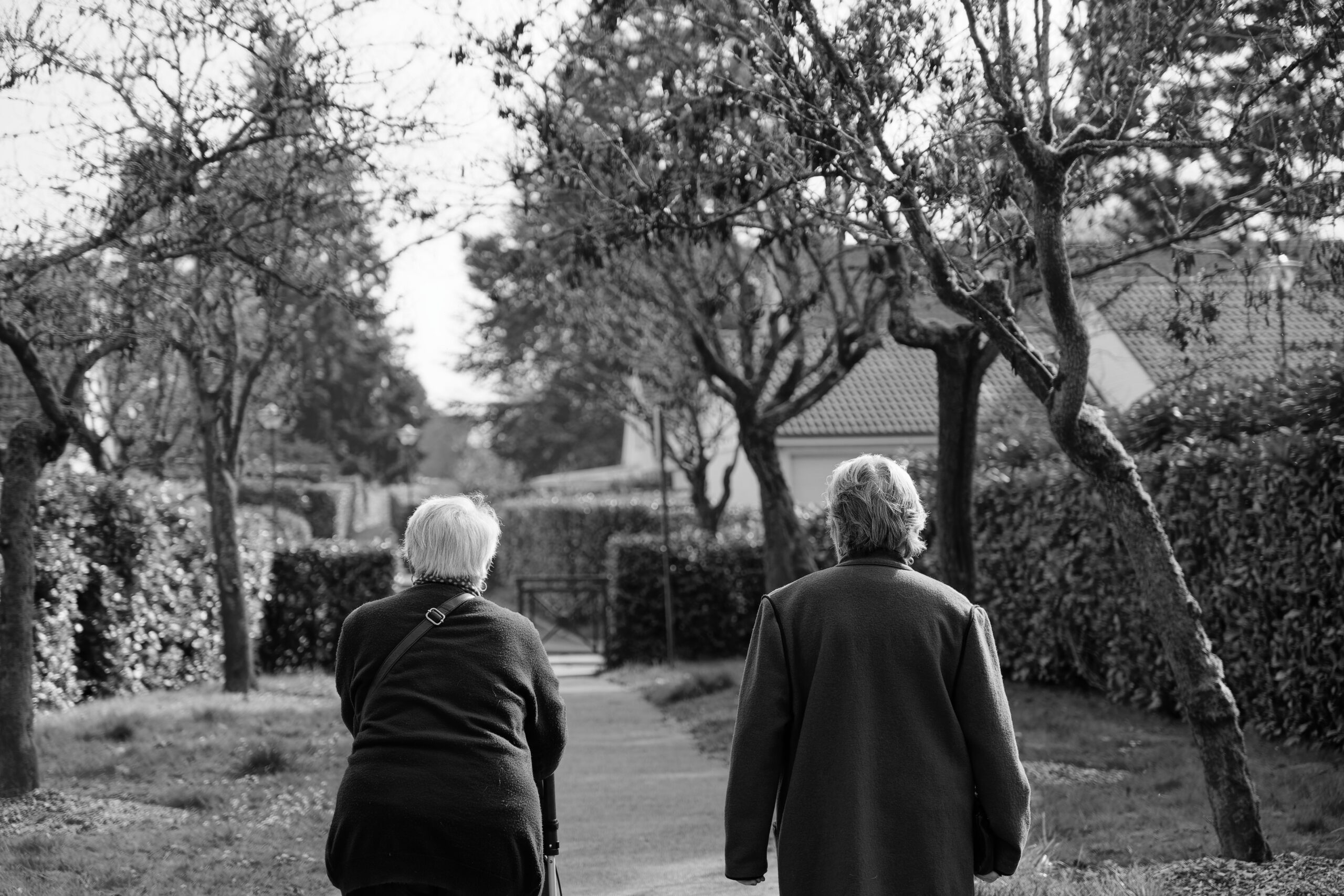 Picture of elderly walking together
